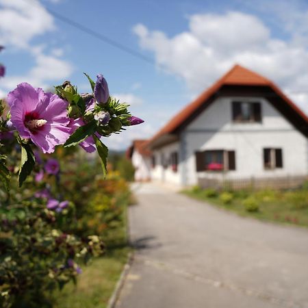 House Of Culture And Nature - Hisa Kulture In Nature Zagradec Bagian luar foto