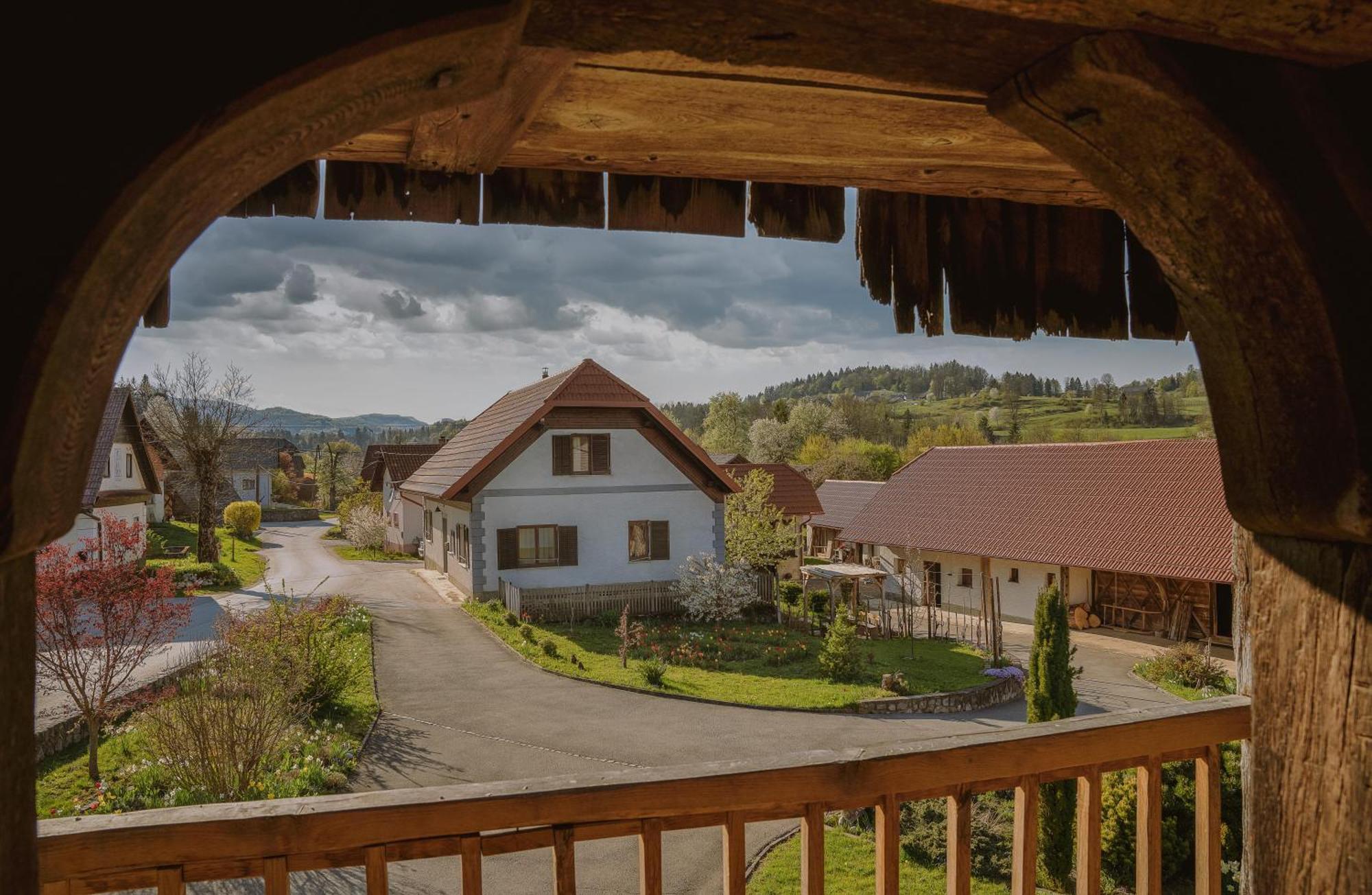 House Of Culture And Nature - Hisa Kulture In Nature Zagradec Bagian luar foto