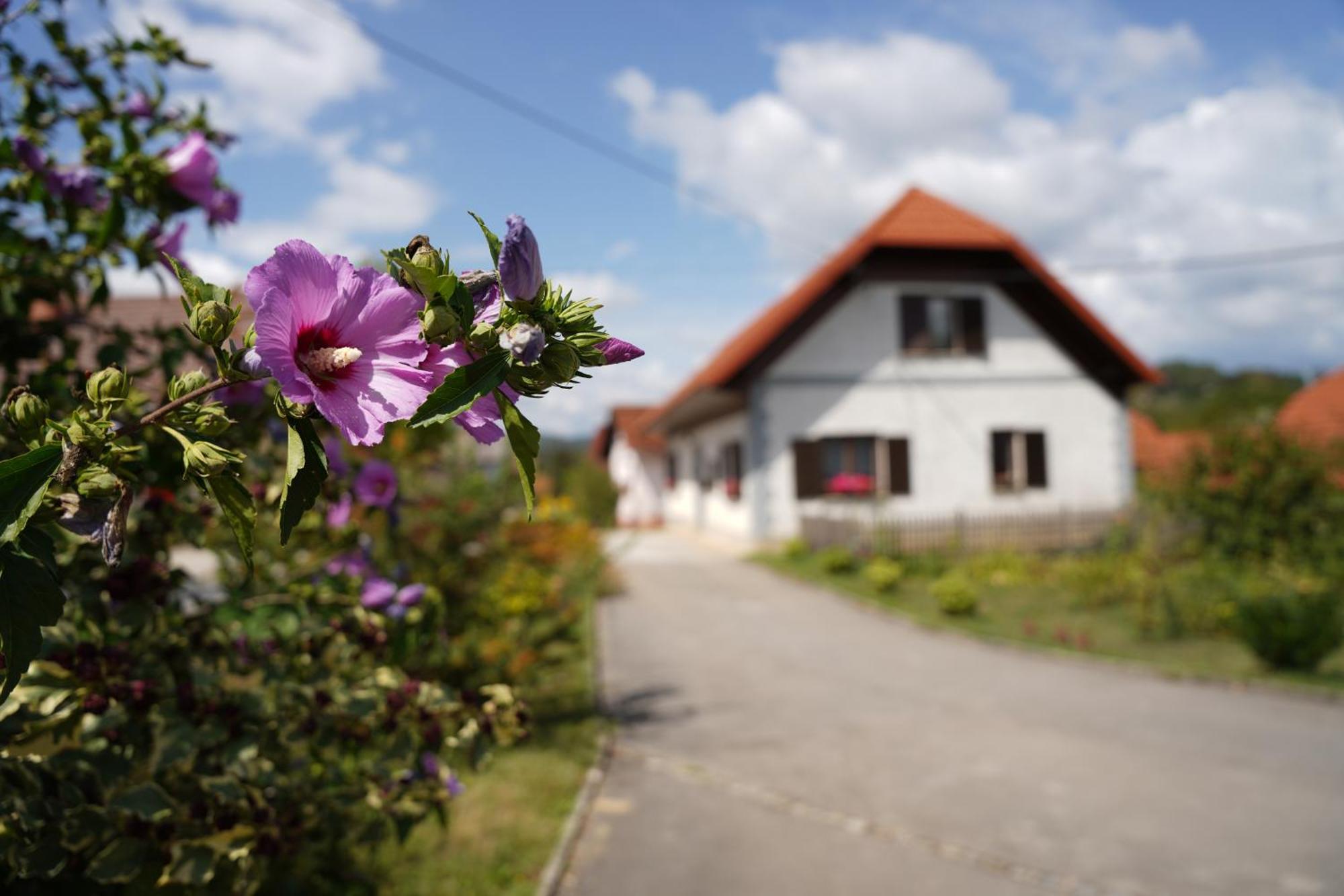 House Of Culture And Nature - Hisa Kulture In Nature Zagradec Bagian luar foto